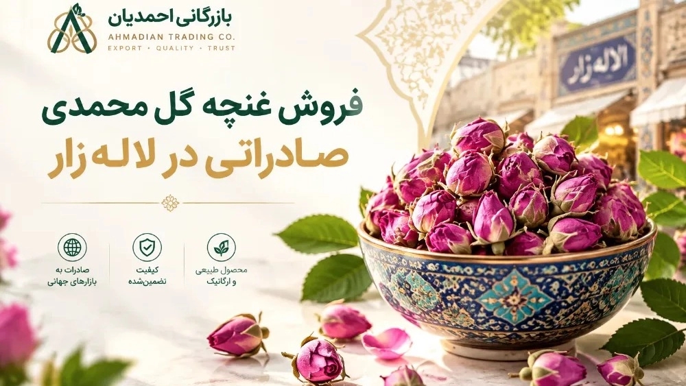 بيع براعم الورد المصدرة في لاليزار مع شركة أحمديان للتجارة